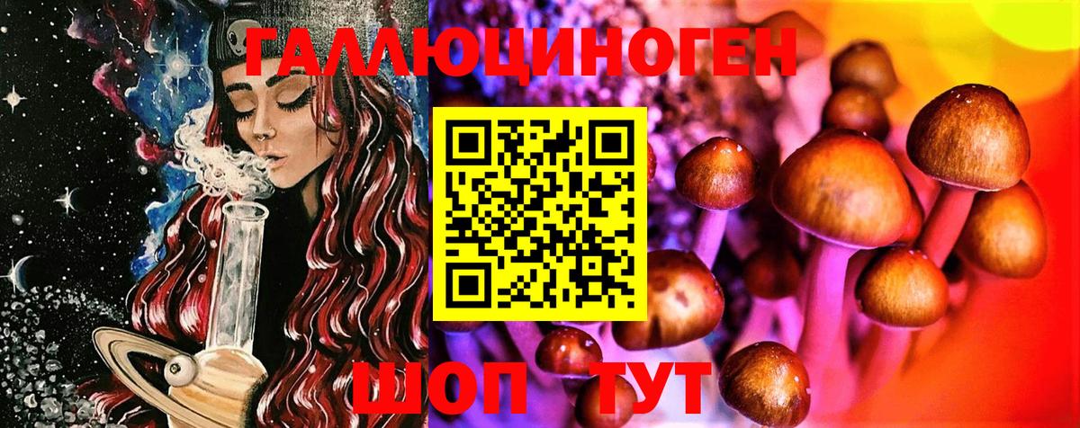 Псилоцибиновые грибы Psilocybe Семёнов