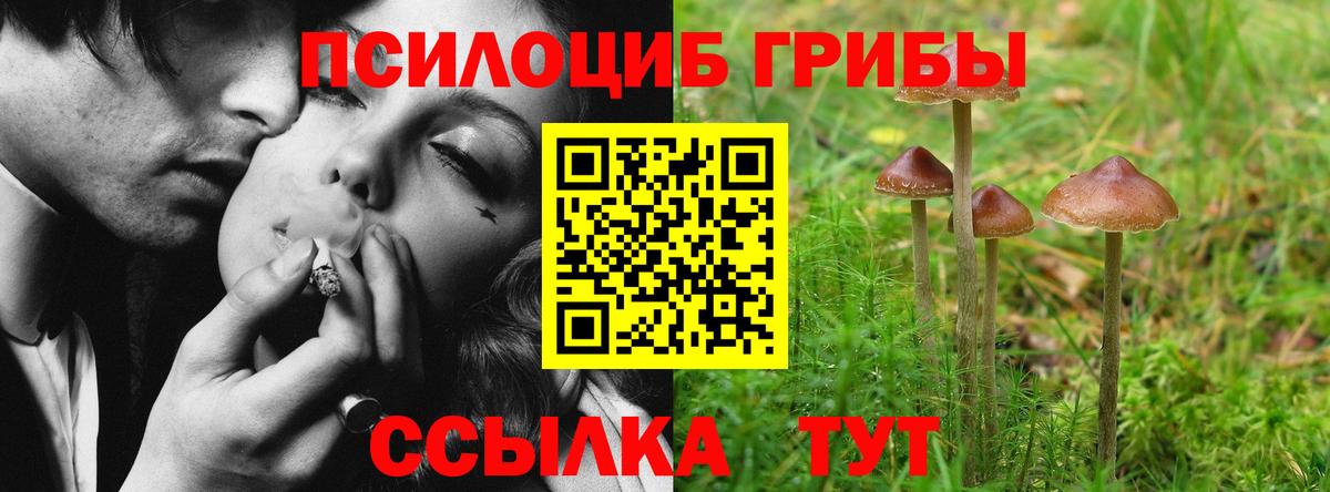 Семёнов  Галлюциногенные грибы Cubensis  Псилоцибиновые грибы ЛСД  Вход с VPN 